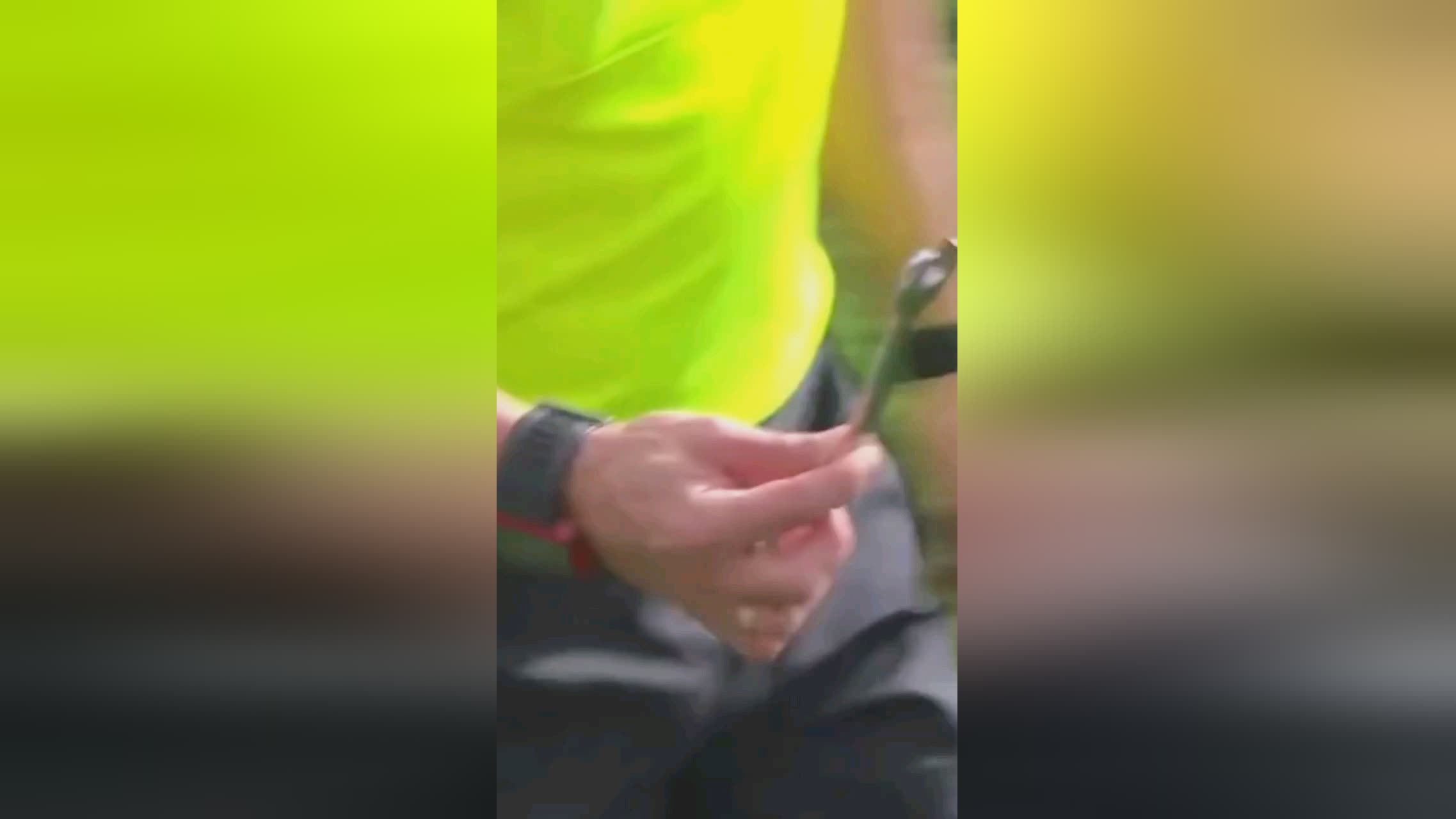 这种关